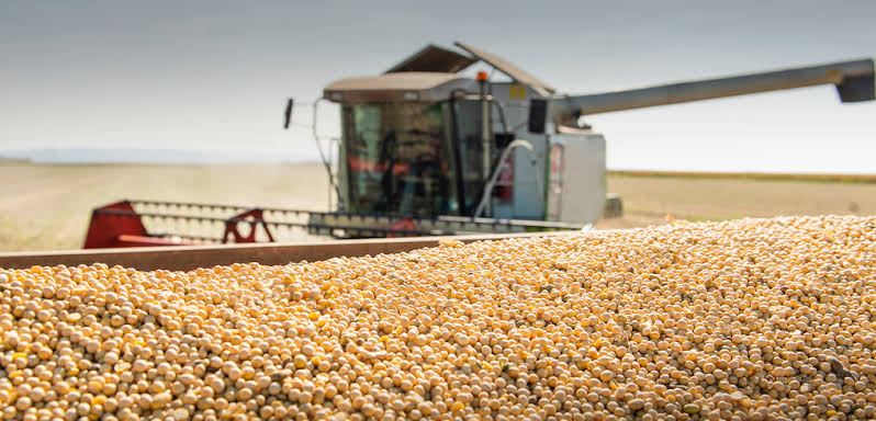 Soybean Oil’s Relevance in Biodiesel Trade when Diesel and Policy are Increasingly Tight
