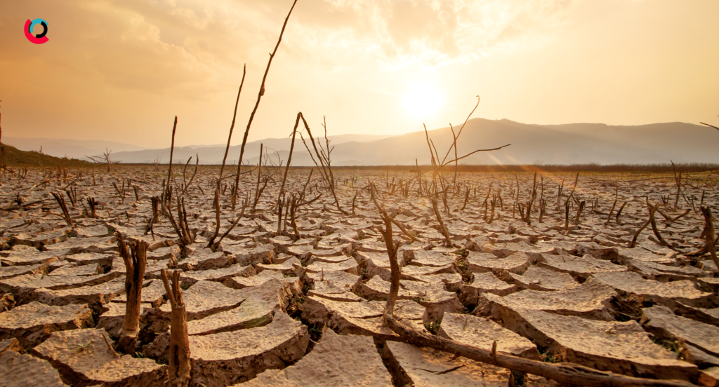 Drought conditions illustration